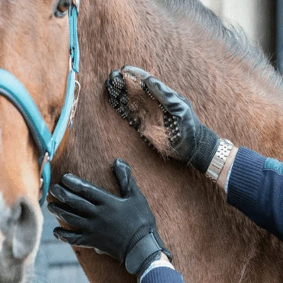 Pet Hair Grooming Glove